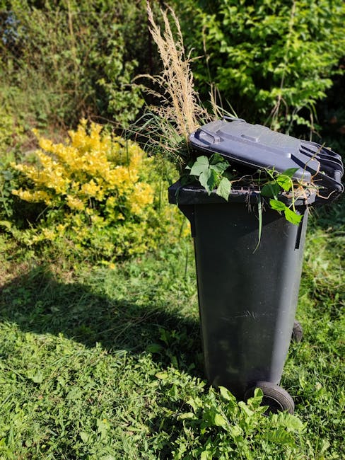 A black wheeled rubbish bin positioned on a grassy outdoor area, filled with a mix of green leaves, dried grass, and plant stems spilling over the top. In the background, there are dense green bushes and foliage, including a bright yellow-green shrub. The scene appears to be in a garden or on a terrace exterior, with natural sunlight illuminating the scene and casting soft shadows. The bin is part of a waste disposal method that may relate to private or alternative waste handling services, such as those provided by Waste Clearance Marylebone, emphasizing the collection of garden or green waste as part of rubbish removal efforts.